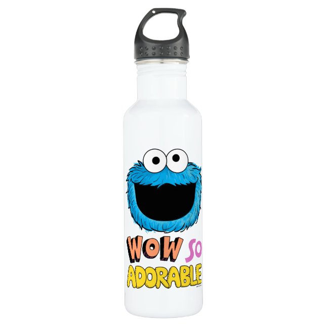 Monster at the End of this Story | Cookie Monster 710 Ml Water Bottle (Front)