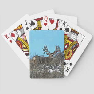 Monster mule deer buck playing cards