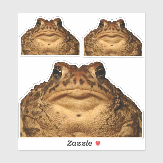 Monster Toad Stickers (Sheet)
