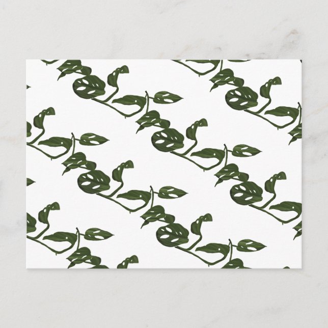 Monstera Adanosii Cheese Plant Pattern Green Postcard (Front)