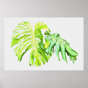 Monstera Artistic Leaf Study  Poster