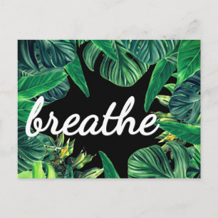 Monstera Law of Attraction Abundance Affirmation Postcard