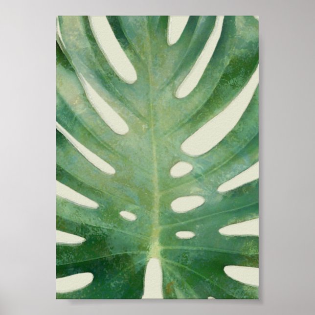 Monstera leaf poster (Front)