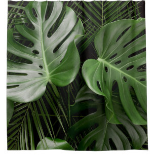 Monstera leaves, luxury tropical layout.