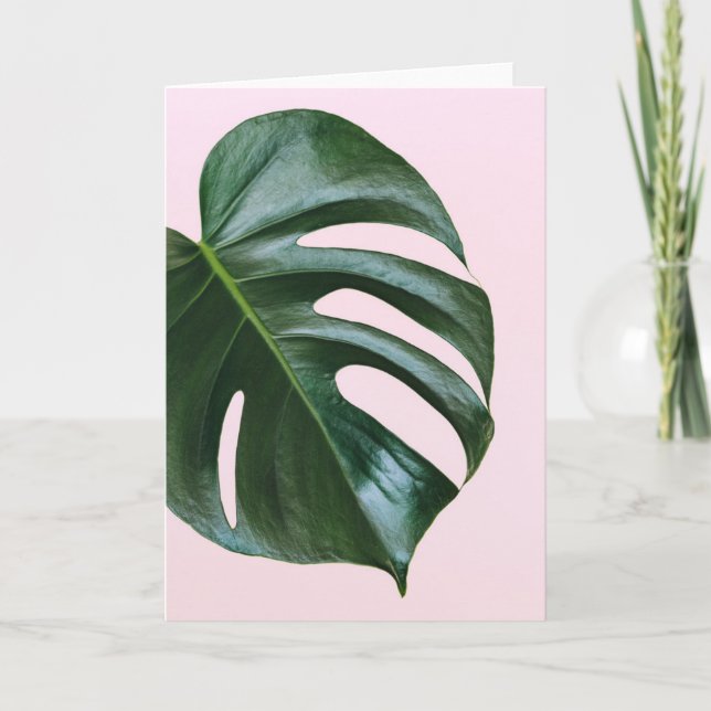 Monstera Tropical Leaf Card (Front)