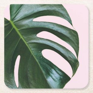 Monstera Tropical Leaf Square Paper Coaster