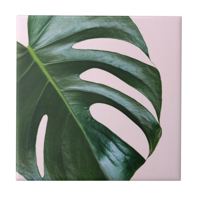 Monstera Tropical Leaf Tile (Front)
