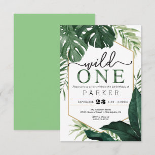 Monstera tropicale Wild One Premier Invitation d'a