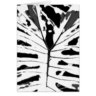 Monstereo Leaf