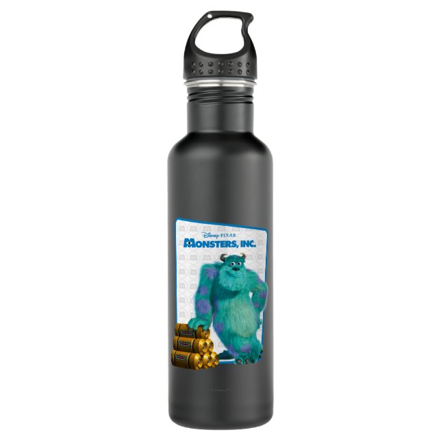 Monsters, Inc. Sulley 710 Ml Water Bottle (Front)