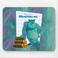Monsters, Inc. Sulley