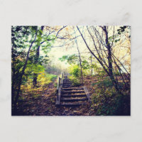 Mont-Royal automne