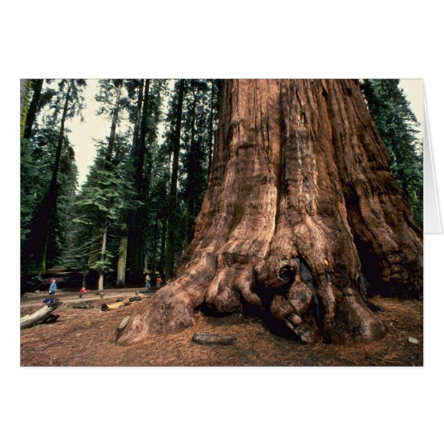 Montagne vivante (Devant horizontal)