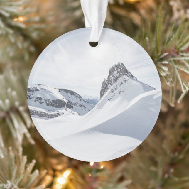 Montagnes | Achensee Zillertal, Autriche (Arbre)