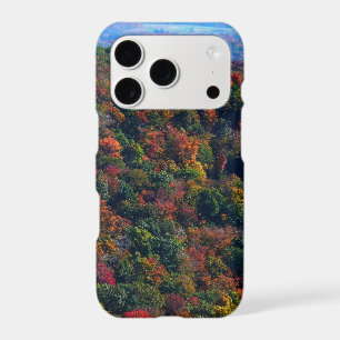 Montagnes Appalaches en automne