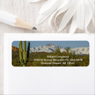 Montagnes couvertes de neige Saguaro Cactus Arizon