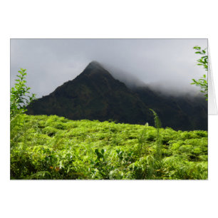 Montagnes de Koolau