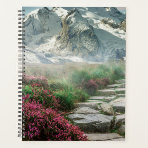 Montagnes enneigées 