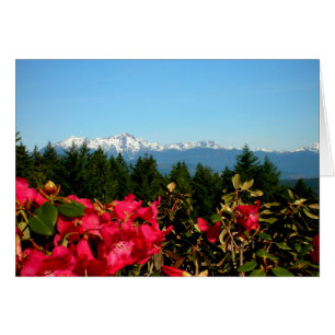 Montagnes olympiques et Rododenrons