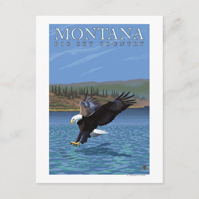 Montana -- Big Sky CountryDiving Eagle Postcard (Front)