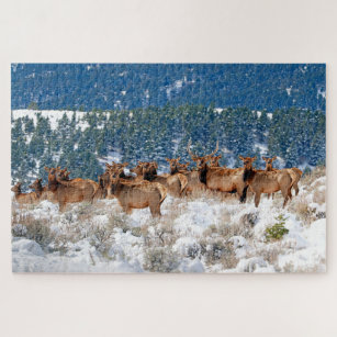 Montana Elk Herd Jigsaw Puzzle