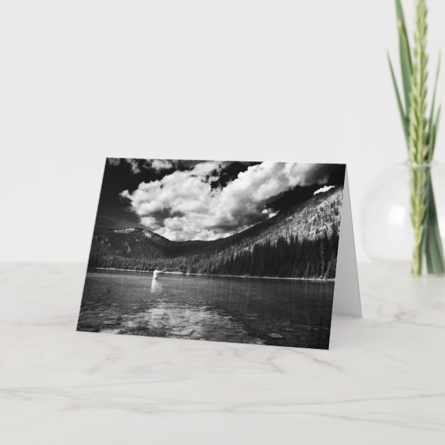 Montana Fisherman Card (Front)