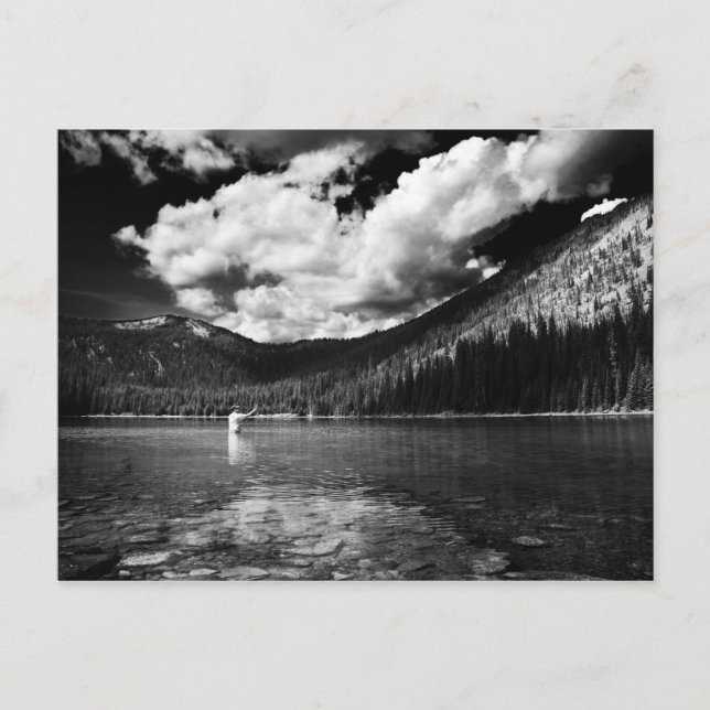 Montana Fisherman Postcard (Front)