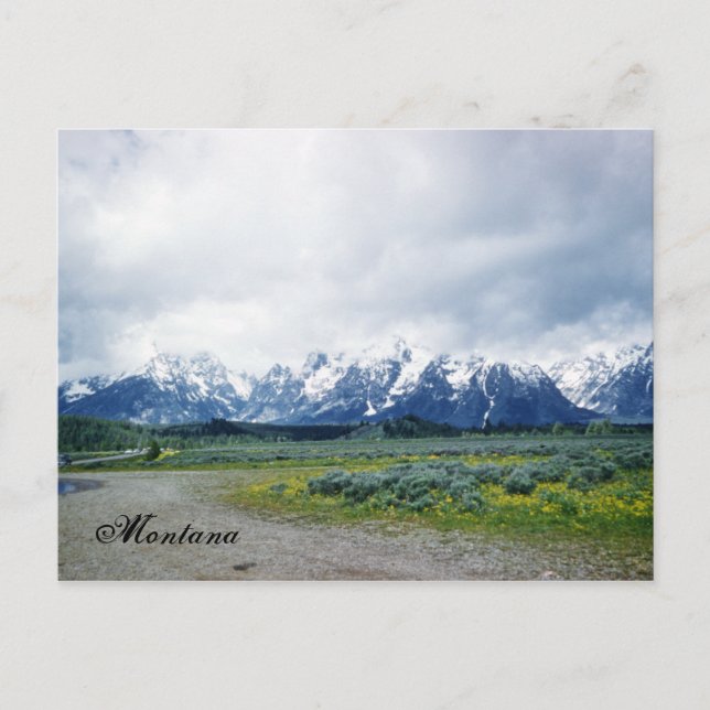 Montana Hills Landscape Beautiful 1950's Postcard (Front)