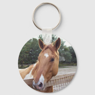 montana keychain