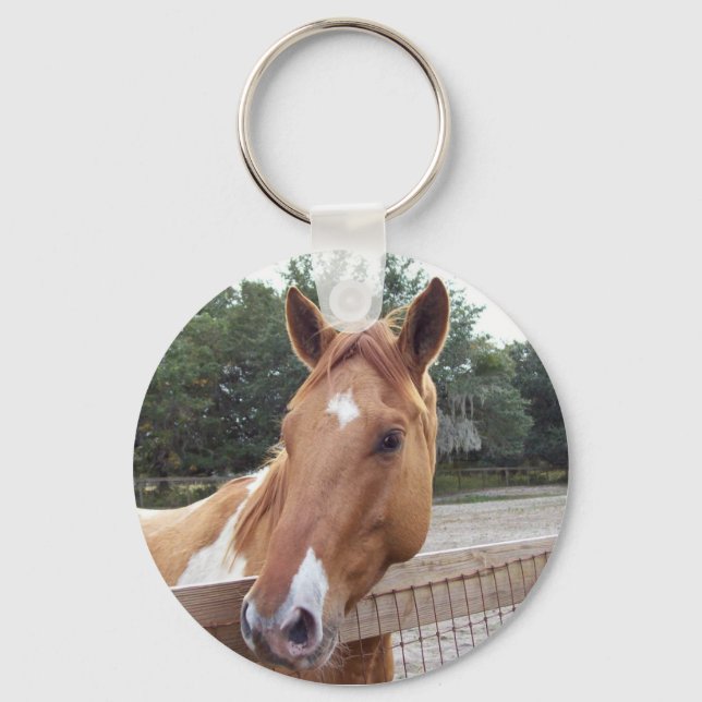 montana keychain (Front)