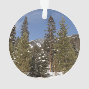 Montana Mountain Trails in Winter Landcape Photo
