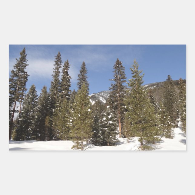 Montana Mountain Trails in Winter Landscape Photo Sticker (Front)