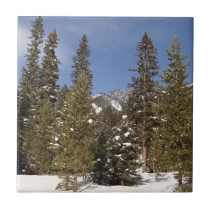 Montana Mountain Trails in Winter Landscape Photo Tile