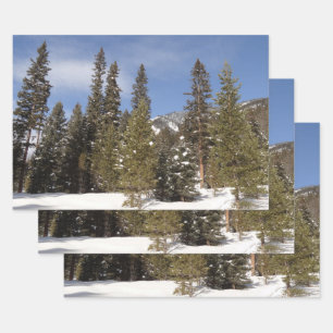 Montana Mountain Trails in Winter Landscape Photo Wrapping Paper Sheet