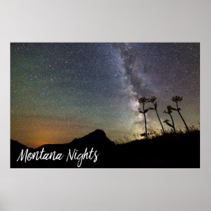 Montana Nights with Milky Way Mountains & Flowers Poster