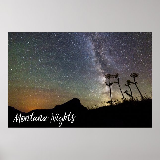 Montana Nights with Milky Way Mountains & Flowers Poster (Front)