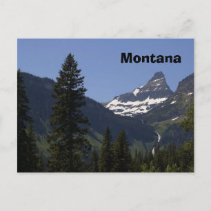 Montana Postcard