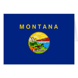 Montana State Flag Design