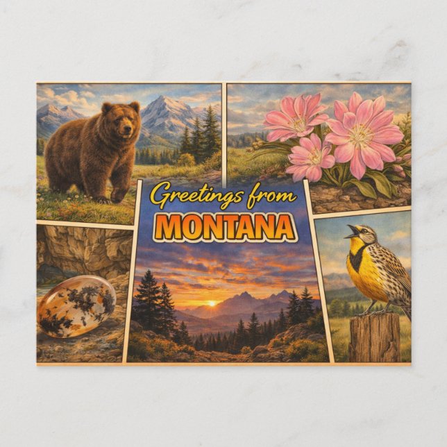Montana State Postcard (Front)