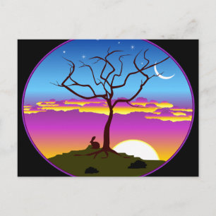 Montana Sunrise Postcard