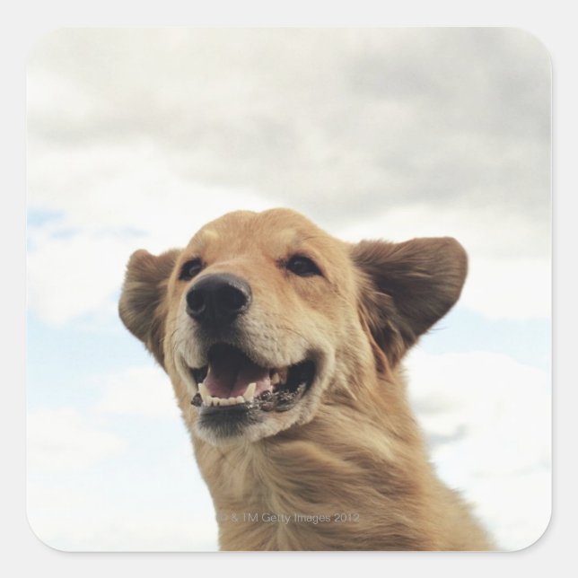 Montana, USA Square Sticker (Front)