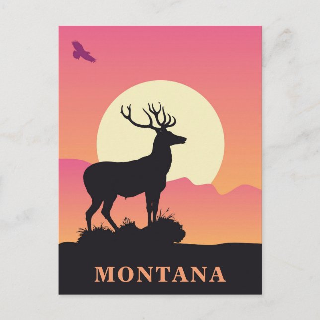 Montana Vintage Travel Sunset Postcard (Front)