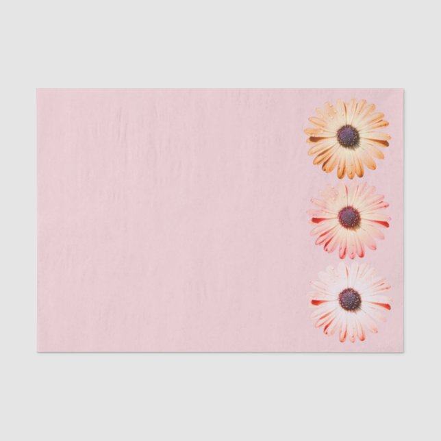 Montana Wildflowers In Pink Tissue Paper (Front)