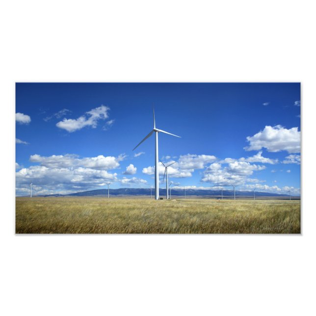 Montana Windmills Photo Print (Front)