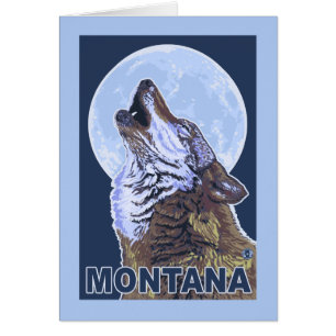 Montana Wolf Howling