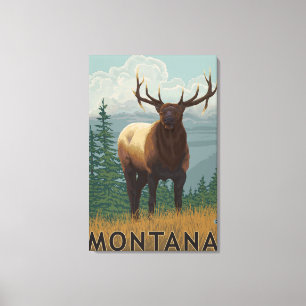 MontanaElk Scene Canvas Print