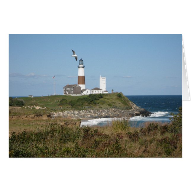 MONTAUK Lighthouse Seagull Love (Front Horizontal)