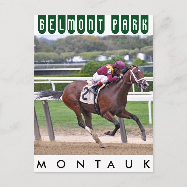 Montauk Postcard (Front)