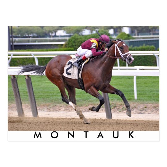 Montauk Postcard