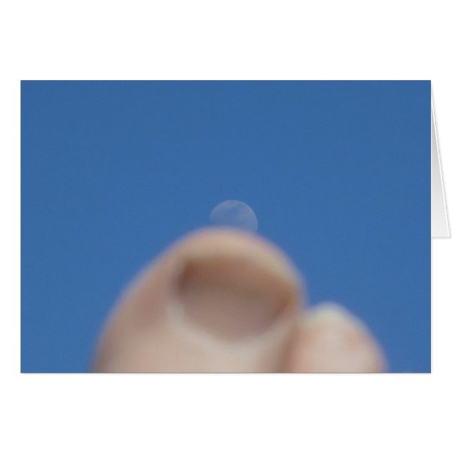 Monte de lune 2014 (Devant horizontal)